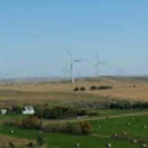 Meet your Posher, Steve